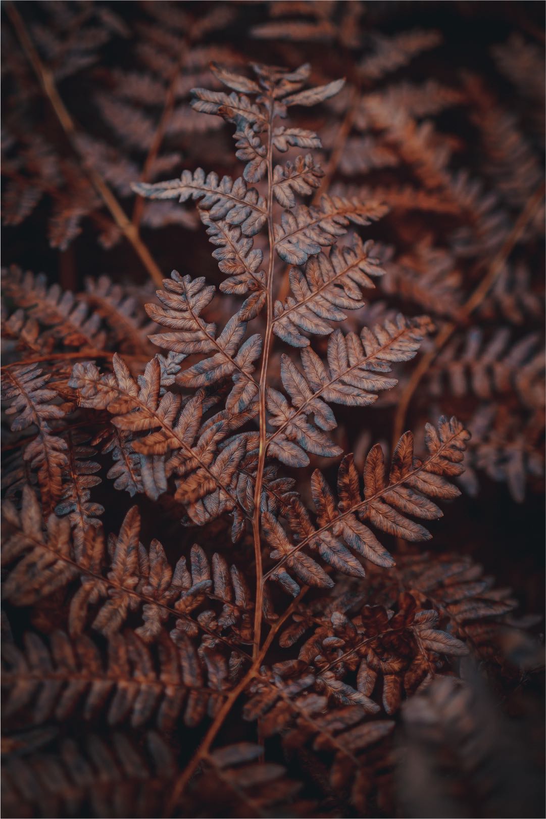 E-M5 Mark III • M.Zuiko Digital ED 20mm F1.4 PRO • 20mm • 1/250s • F1.6 • ISO250