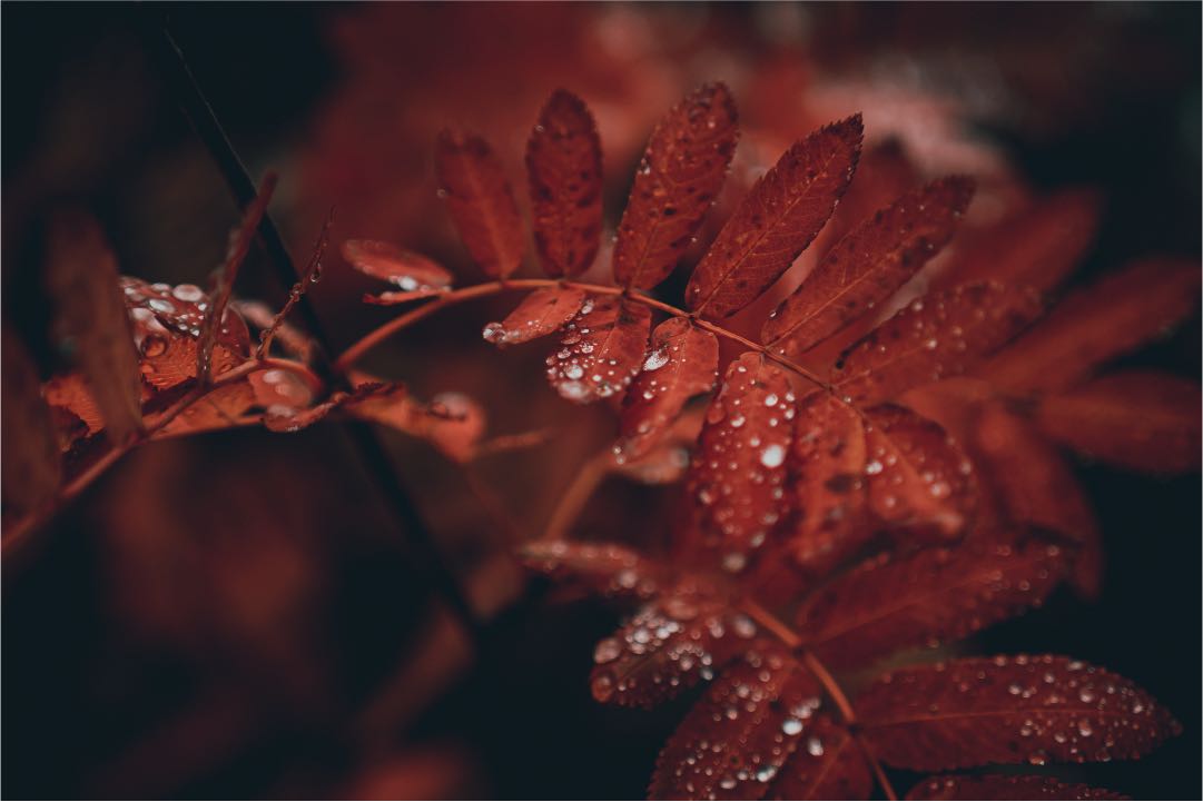 E-M5 Mark III • M.Zuiko Digital ED 20mm F1.4 PRO • 20mm • 1/3200s • F1.4 • ISO200