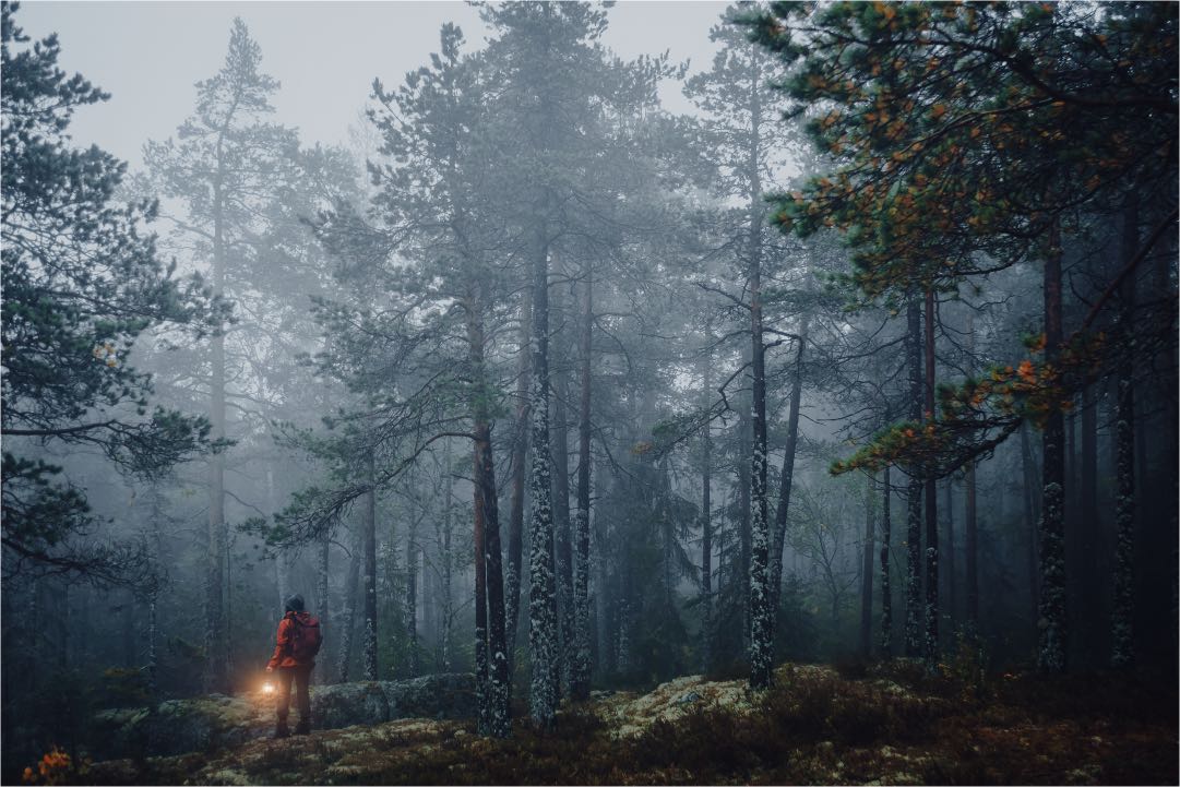 E-M5 Mark III • M.Zuiko Digital ED 20mm F1.4 PRO • 20mm • 1/250s • F1.8 • ISO200