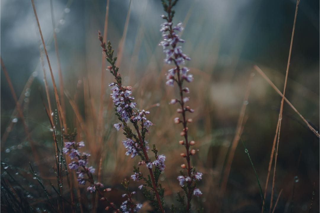 E-M5 Mark III • M.Zuiko Digital ED 20mm F1.4 PRO • 20mm • 1/400s • F1.4 • ISO250